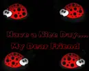 Have a nice Day
