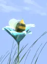 Bottom Bee