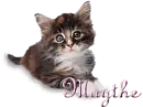 Kitty - Maythe