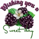 Wishing you a Sweet day