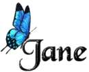 Blue Butterfly - Jane