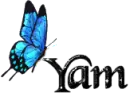 Blue Butterfly - Yam