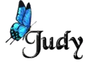 Blue Butterfly - Judy