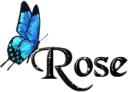 Blue Butterfly - Rose