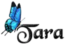 Blue Butterfly - Tara