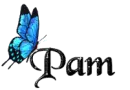 Blue Butterfly - Pam