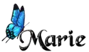 Blue Butterfly - Marie