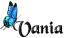 Blue Butterfly - Vania