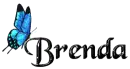 Blue Butterfly - Brenda