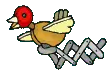 Bird01