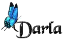 Blue Butterfly - Darla