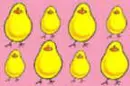 Easter chics 