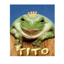 Frog - Tito