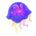 jellyfish