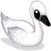 swan
