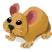 pika