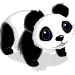 panda bear