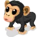 monkey