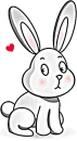baby bunny(L)