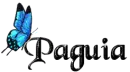 Blue Butterfly - Paguia