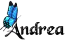 Blue Butterfly - Andrea