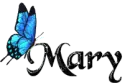 Blue Butterfly - Mary