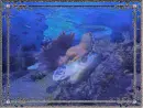 Shimmering Mermaid