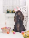 Easter