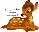 Bambi weekend