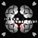 Dave Matthews fan