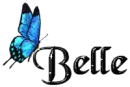 Blue Butterly - Belle