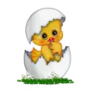 CREDDY 