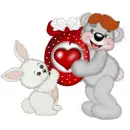 CREDDY BEAR BOY