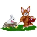 CREDDY BUNNY