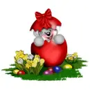 CREDDY BEAR 