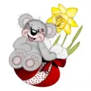 CREDDY BEAR BOY