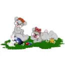 CREDDY BEARS