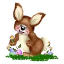 CREDDY BUNNY