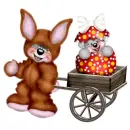 CREDDY BEAR BUNNY