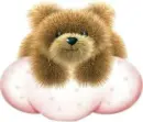 TEDDY BEAR