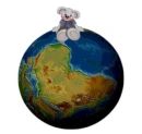 CREDDY BEAR