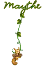 Squirrel - Maythe