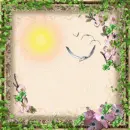 Sunny