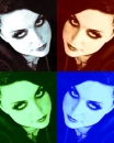 Amy Lee-collage