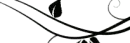 Rotate