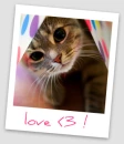 Kitten Cutie!
