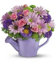 SPRING