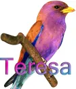 Teresa