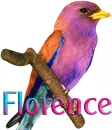 Florence