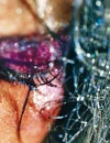 Sparkle In My Eye